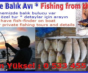 Daily boat tour with Ilki H Reis boat