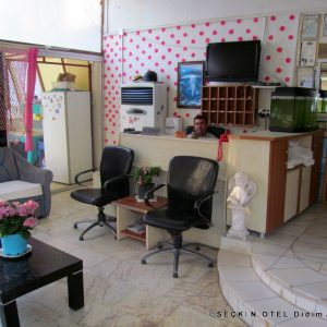 Seckin Hotel Didim Altinkum