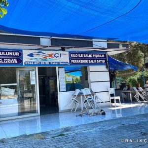 Fisherman Fedai’s Fish Restaurant