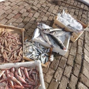 Fisherman Fedai’s Fish Restaurant