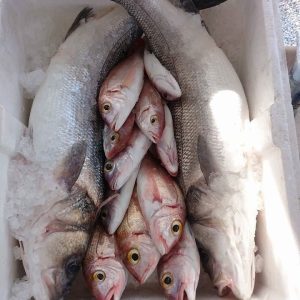 Fisherman Fedai’s Fish Restaurant