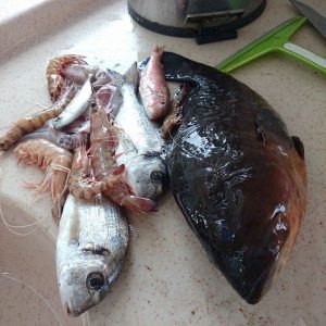Fisherman Fedai’s Fish Restaurant