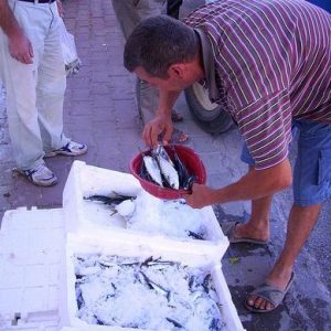 Fisherman Fedai’s Fish Restaurant