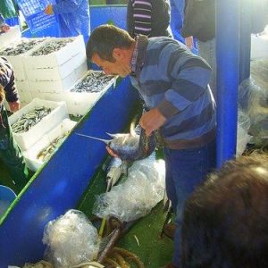 Fisherman Fedai’s Fish Restaurant