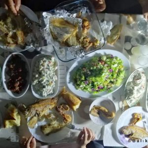 Fisherman Fedai’s Fish Restaurant
