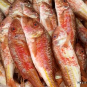 Fisherman Fedai’s Fish Restaurant