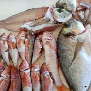 Fisherman Fedai’s Fish Restaurant