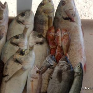 Fisherman Fedai’s Fish Restaurant