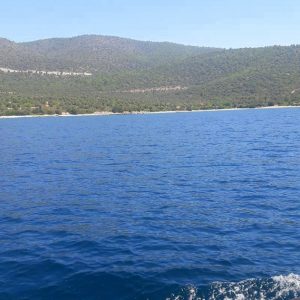 Akbük Tekne Turu Boztepe günlük gezi