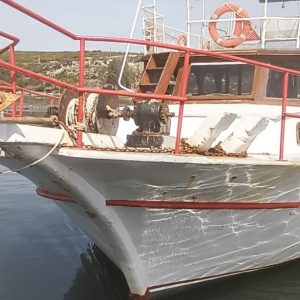 Didim Olta Turu balık avı