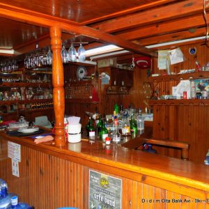 Didim Angling Trip private boat with fish finder