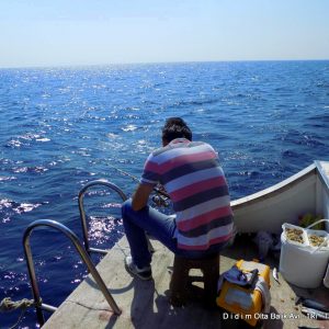 Didim Angling Trip private boat with fish finder
