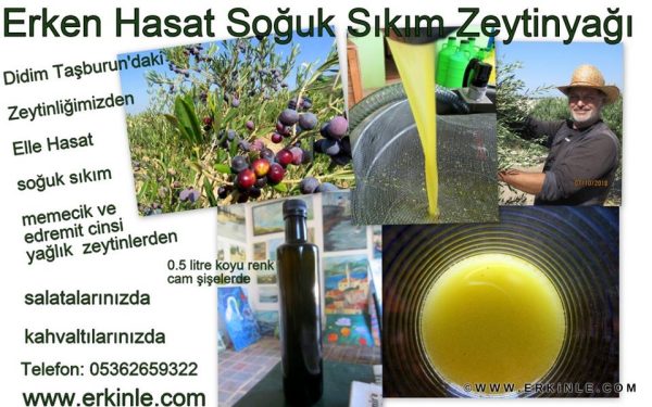 Cafe Olive Olive Oil Erken Hasat Soğuk Sıkım Zeytinyağı