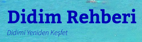 DidimRehberi.Com