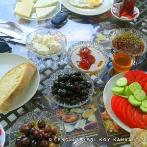 Senol’s Place Village Breakfast