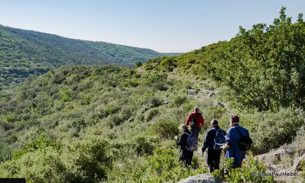 Kutsal Yol Yürüyüşü