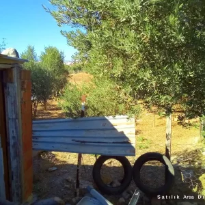 Didim Hisar Mahallesinde Satılık Arsa