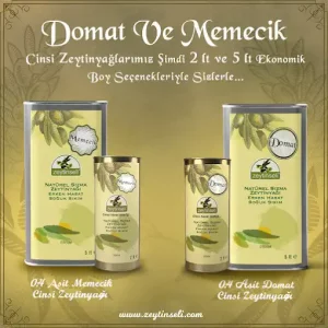 Zeytinseli Zeytincilik