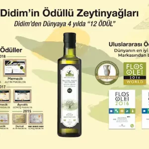 Zeytinseli Zeytincilik