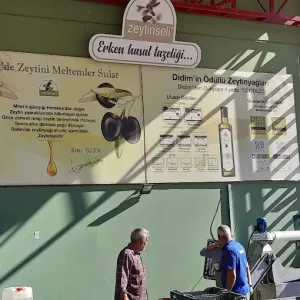 Zeytinseli Zeytincilik