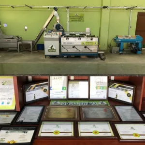 Zeytinseli Zeytincilik