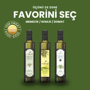 Zeytinseli Zeytincilik