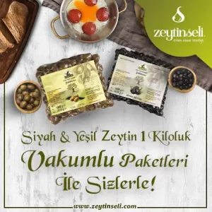 Zeytinseli Zeytincilik